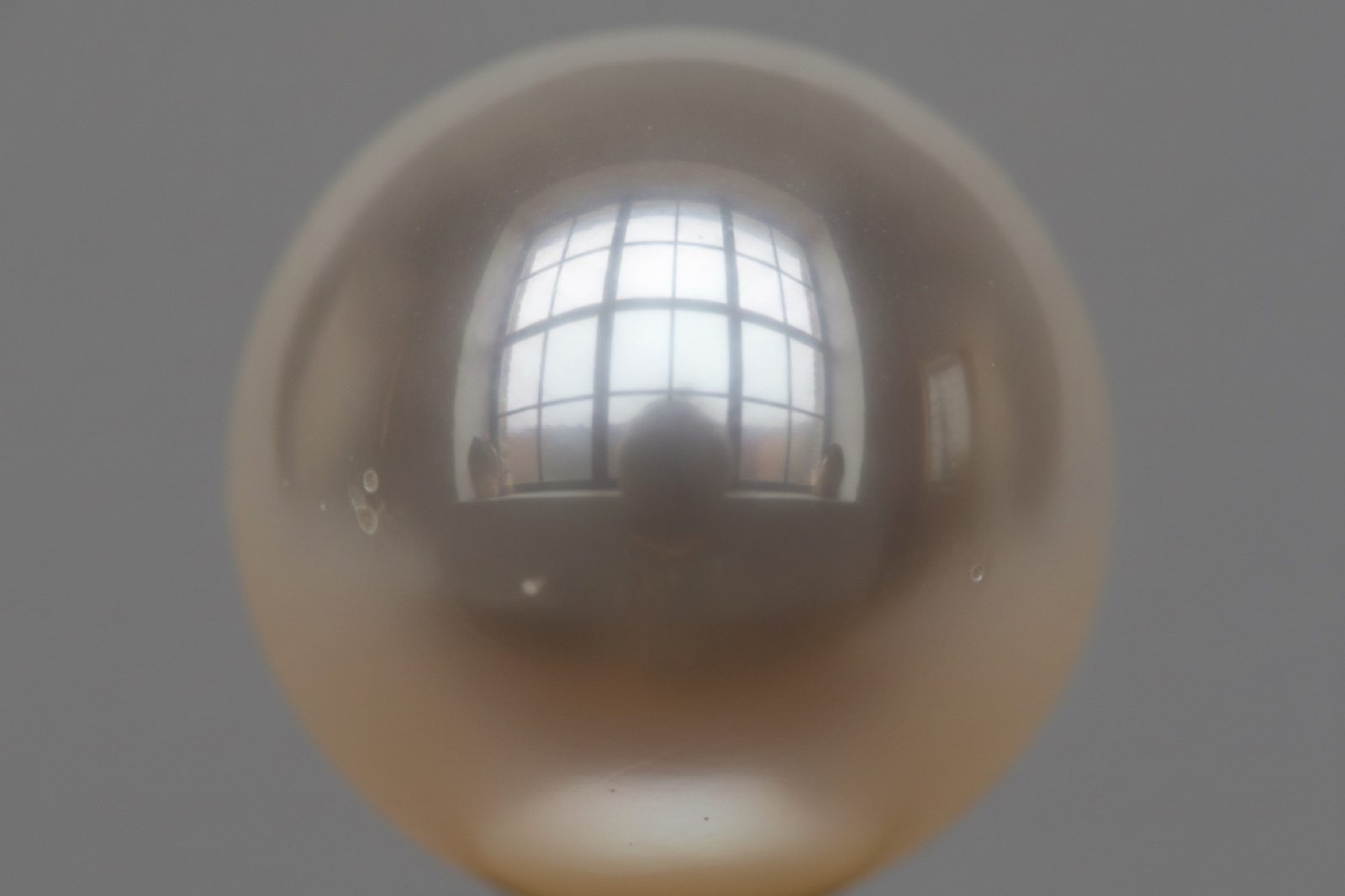 Extreme macro of a single white pearl: a studio window is reflected in its surface with a hard, defined edge — the visible test of excellent lustre