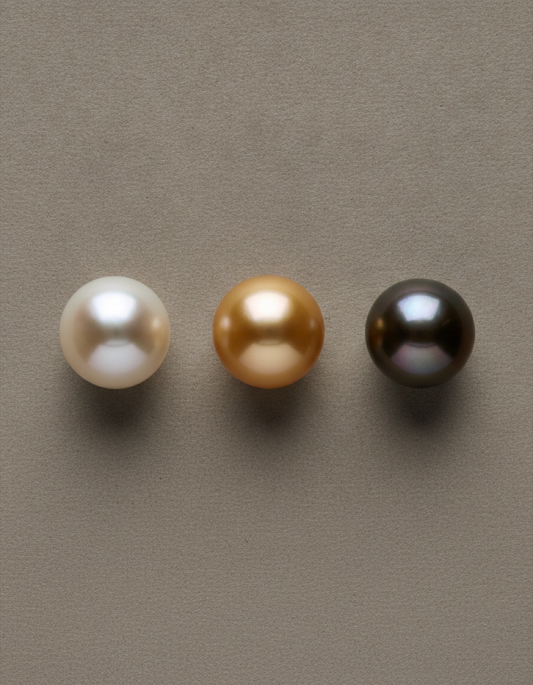 Three pearls side by side on a grey card: a white South Sea, a golden South Sea and a dark Tahitian